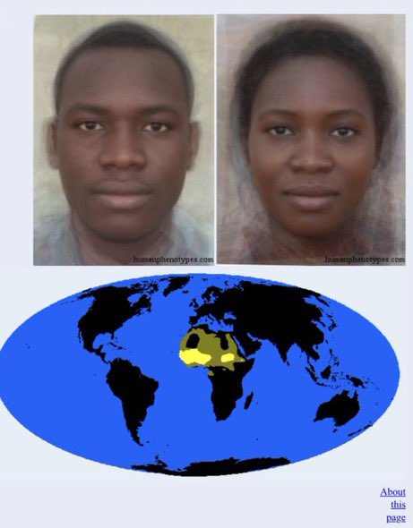 🌸🫧 tweet media