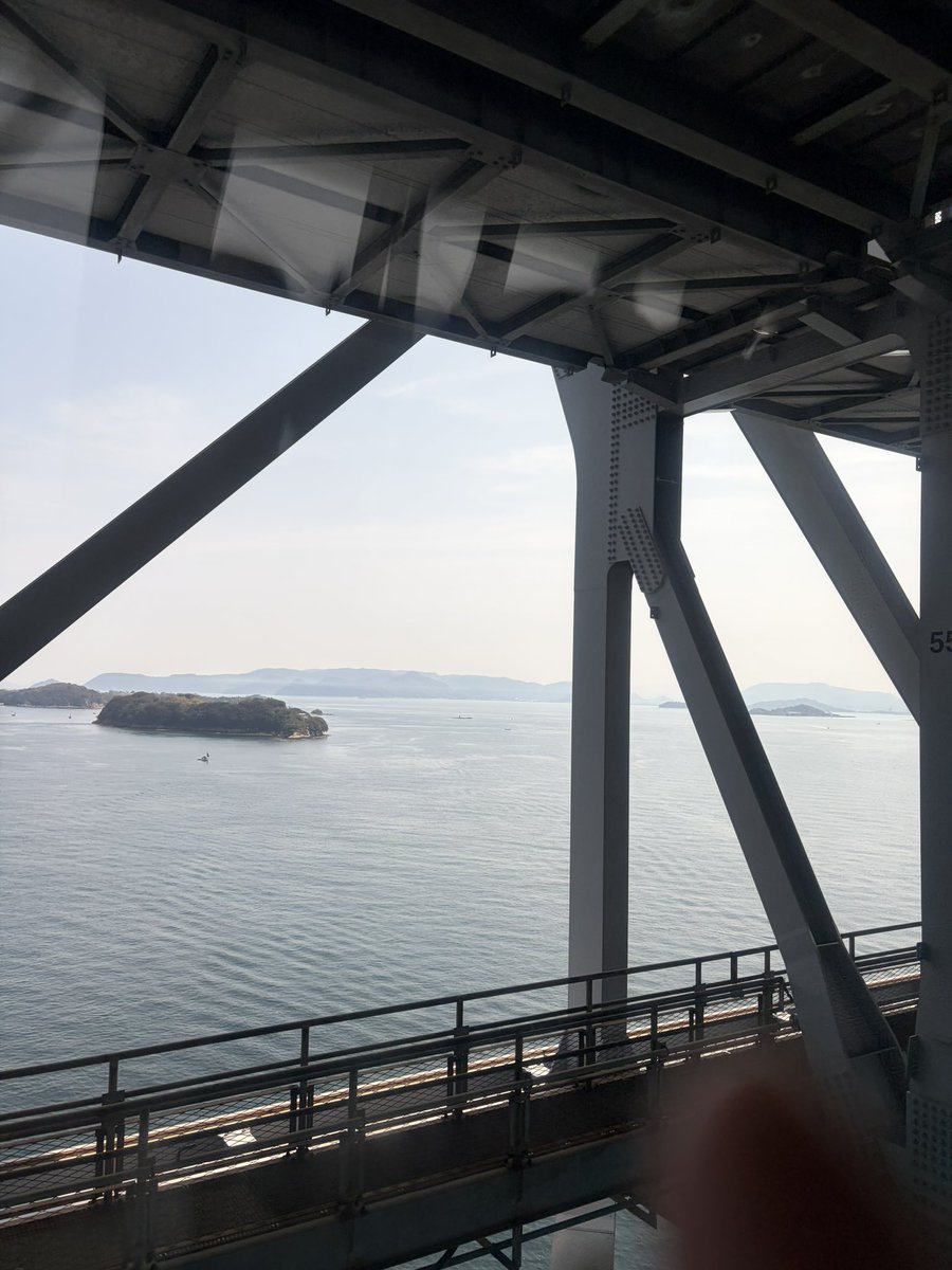 みかんわんわん tweet media