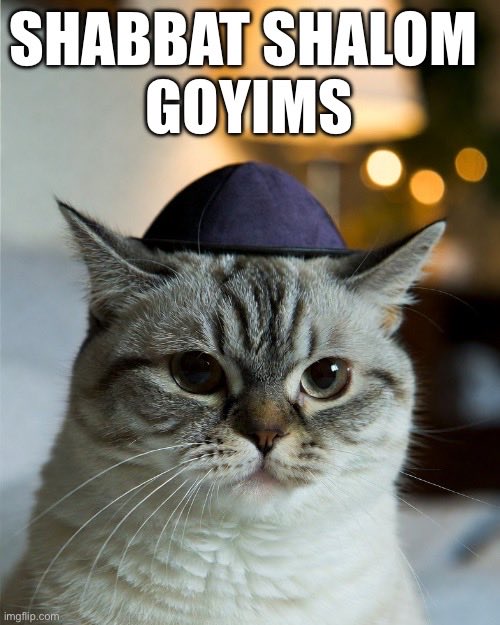 Banished from the Media tweet media