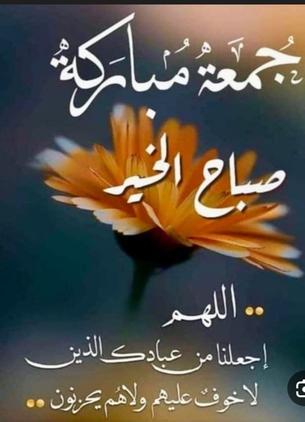 ثجيل العراقي tweet media