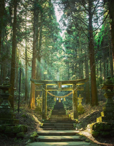 ✧･ﾟ: ✧･ﾟ: :･ﾟ✧:･ﾟ✧

【今のあなたに近いのはどれ？】

最近の自分を思い浮かべてください

✔ なぜか眠い
✔ 体が重い
✔ 環境の変化を感じる
✔ 人との距離が変わる
✔ 新しいことを考え始めている
いくつ当てはまりますか？
① 0〜1
② 2〜3
③ 4以上
③に近い人ほど