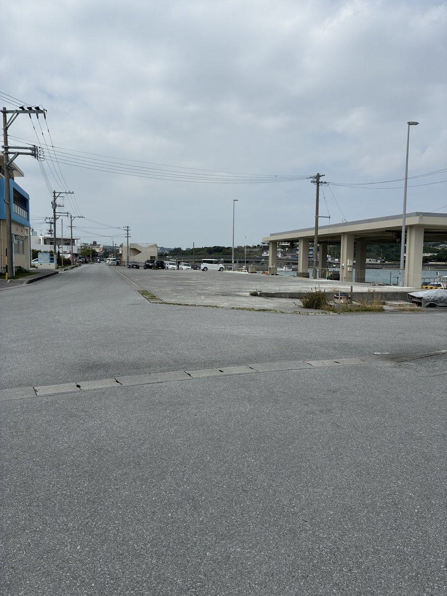 カブ太郎@愛媛生活スタート🍊♨️ tweet media