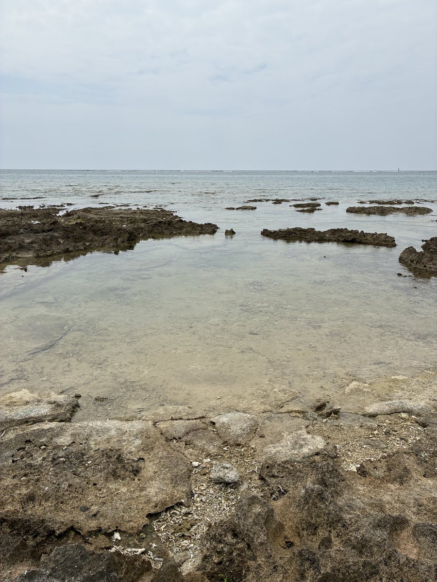 カブ太郎@愛媛生活スタート🍊♨️ tweet media