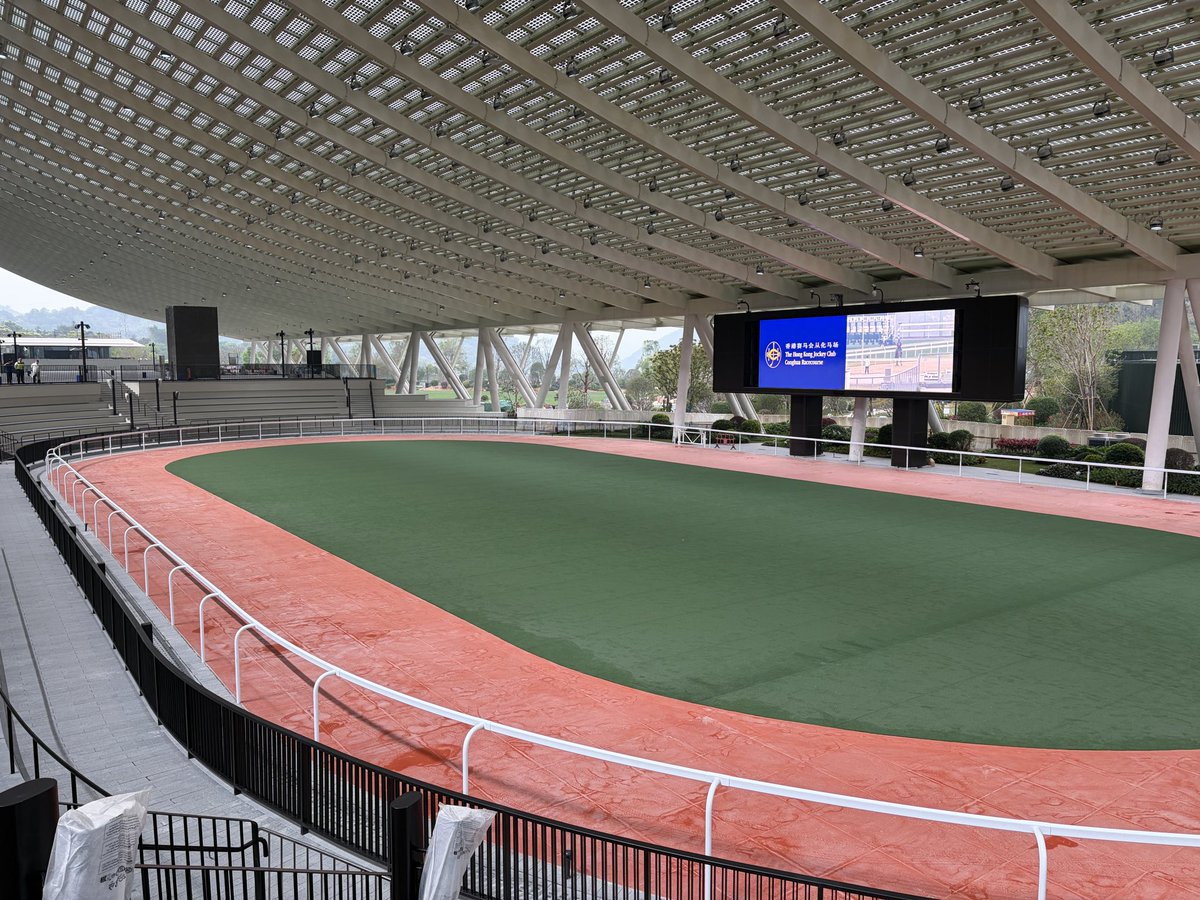 𝗧𝗼𝗺 𝗪𝗼𝗼𝗱 tweet media