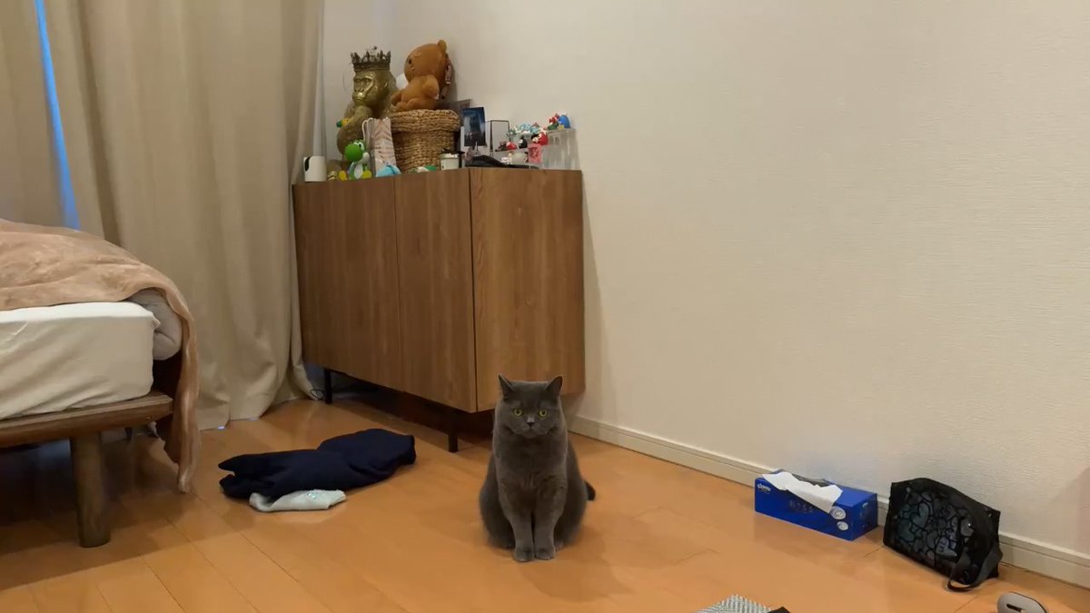 クリッパーびんびん年中無休 tweet media