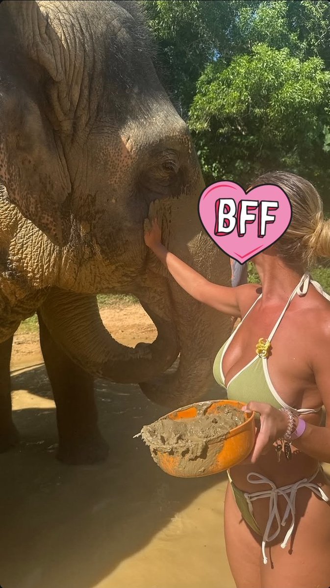 Your Princess (No face anymore) tweet media