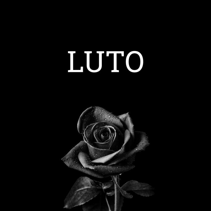 acervo 𝅙𝅙𝅙𝓐levoruja. tweet media