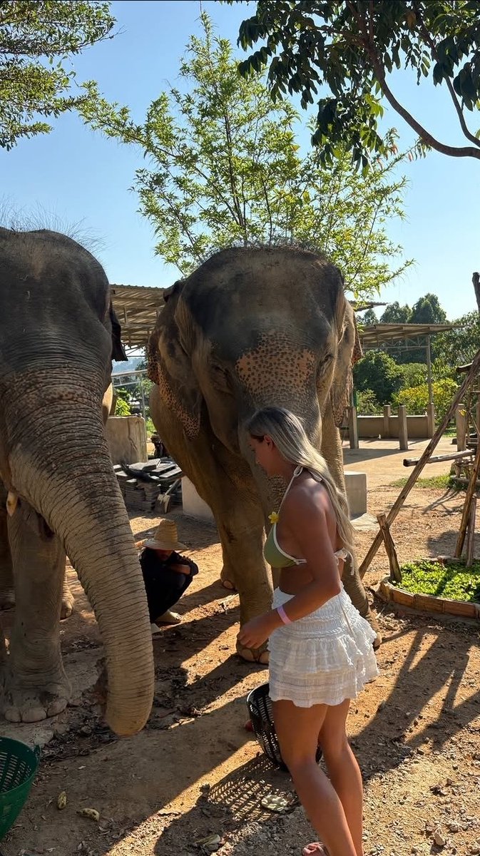 Your Princess (No face anymore) tweet media