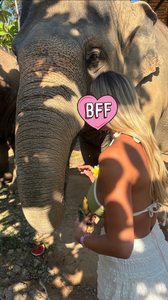 Your Princess (No face anymore) tweet media