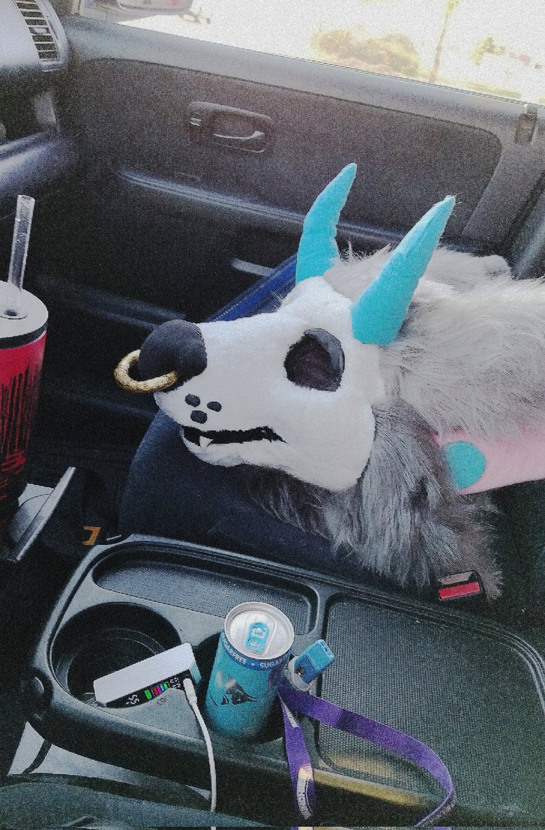 ✩˚Lynk˚✩ 🔜TFF tweet media