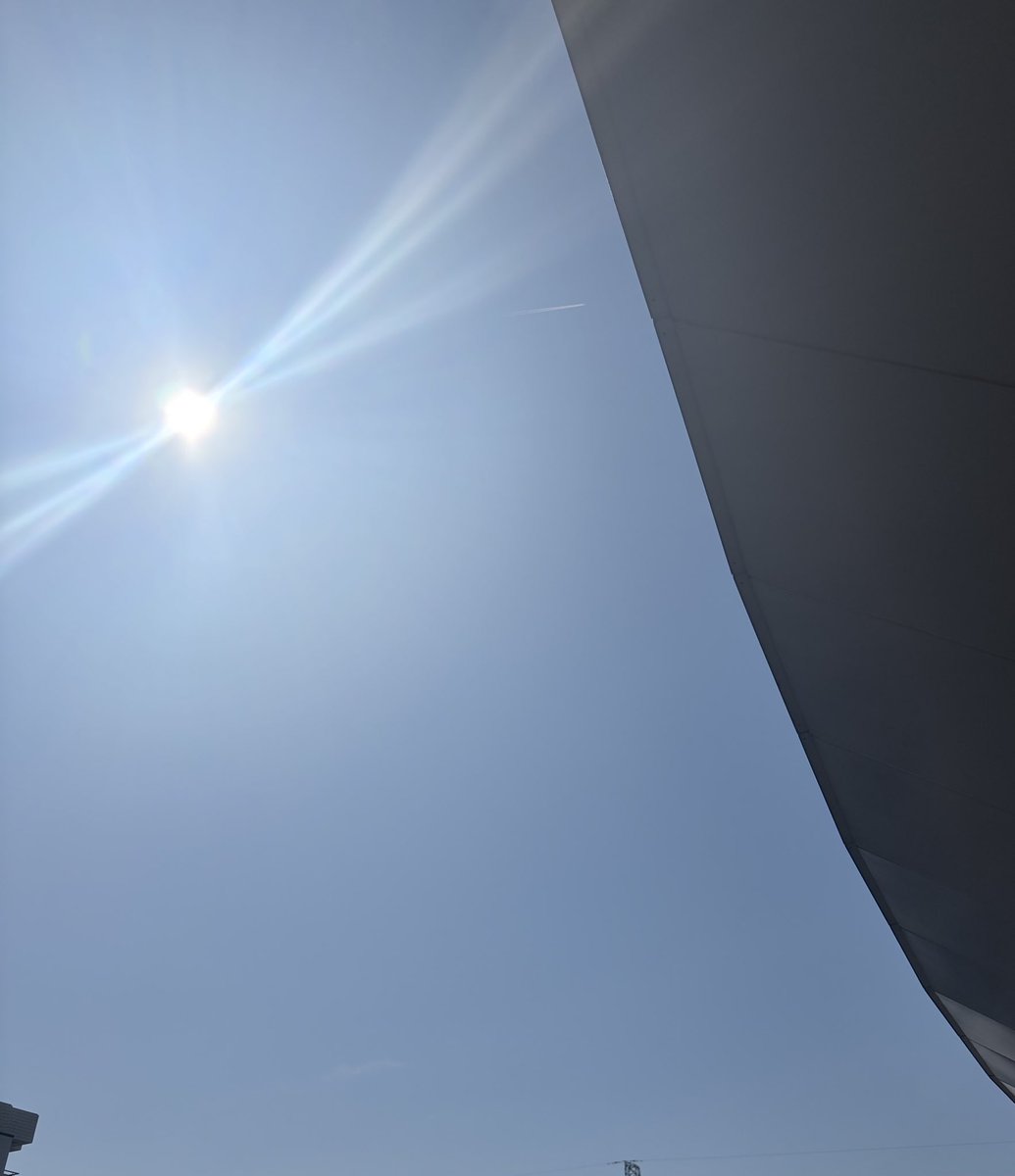 ベラライカ@褐色ドラゴンvtuber🐉 tweet media