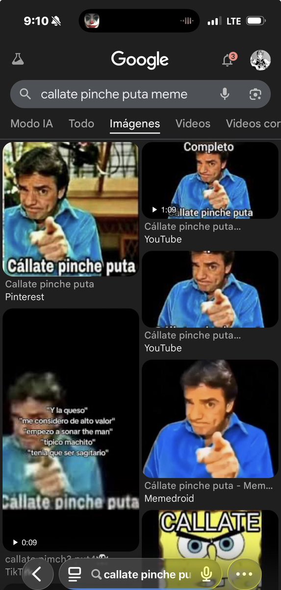 ally kang tweet media