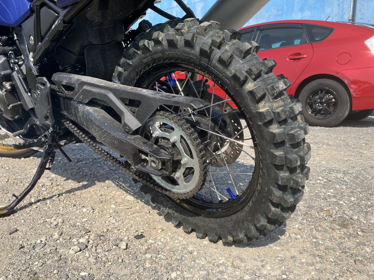 総排出腔🦉 tweet media