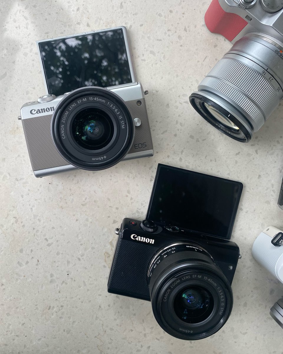 Yael bravo tweet media