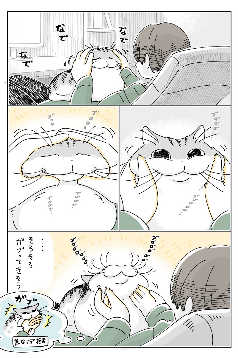 キュルZ tweet media