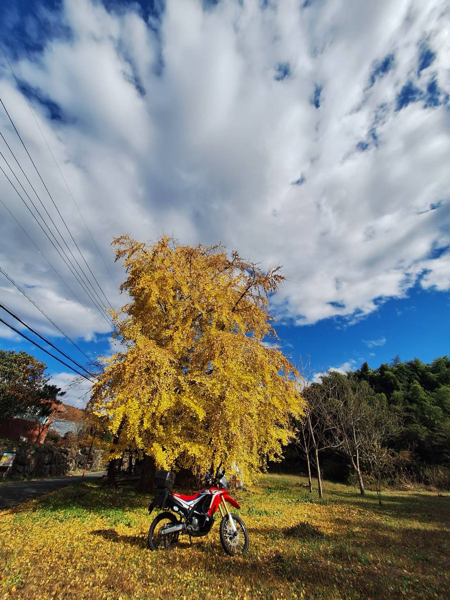 超自炊洋裁男子アッキ〜 tweet media