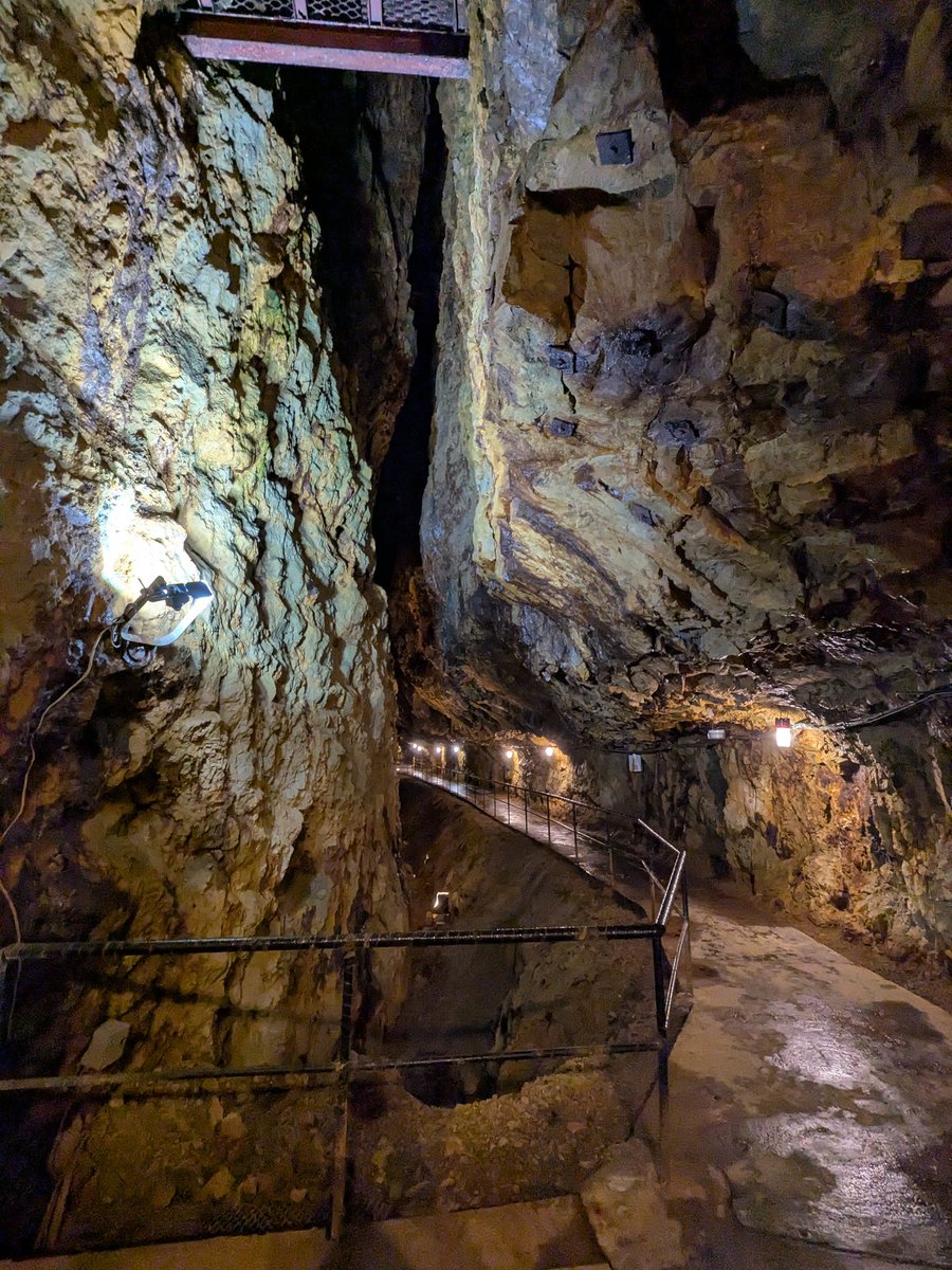 湘南ペンギン tweet media