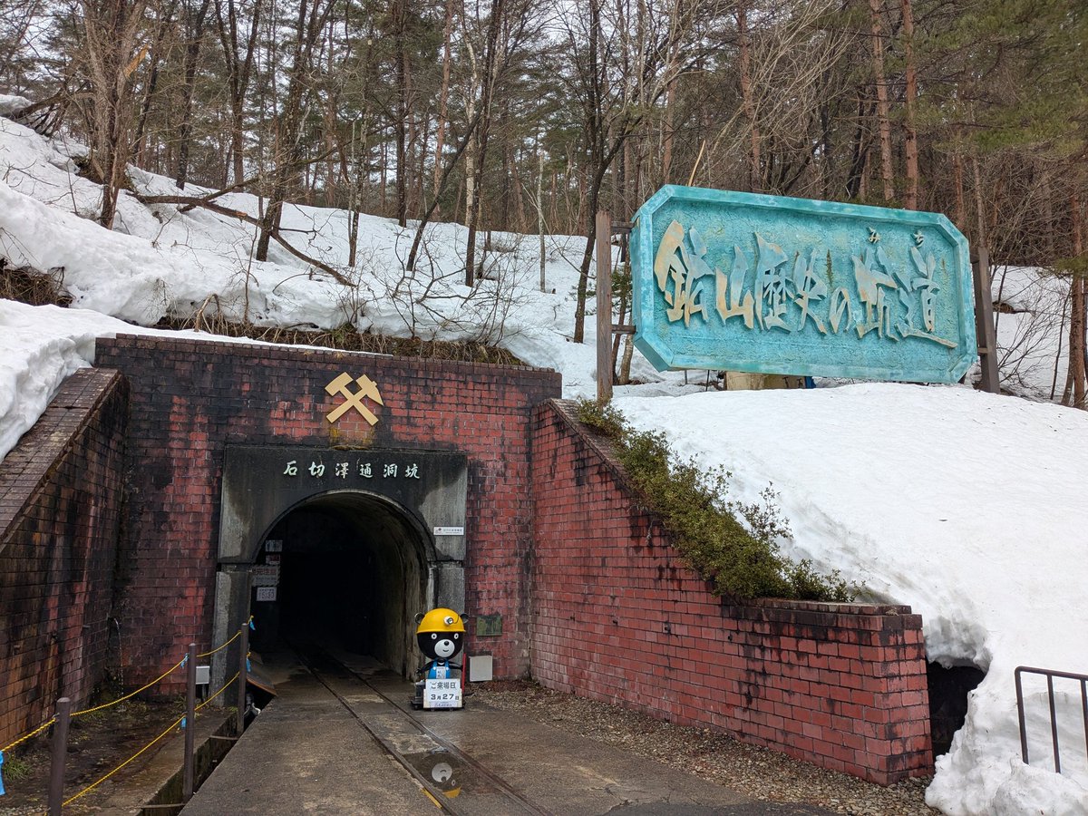 湘南ペンギン tweet media