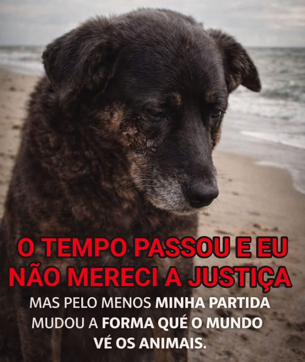 Marcelo Médici tweet media