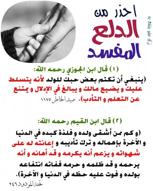 magdy mohamed tweet media