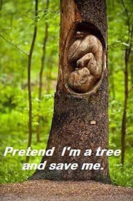 Bryan Kemper 🇺🇸 tweet media