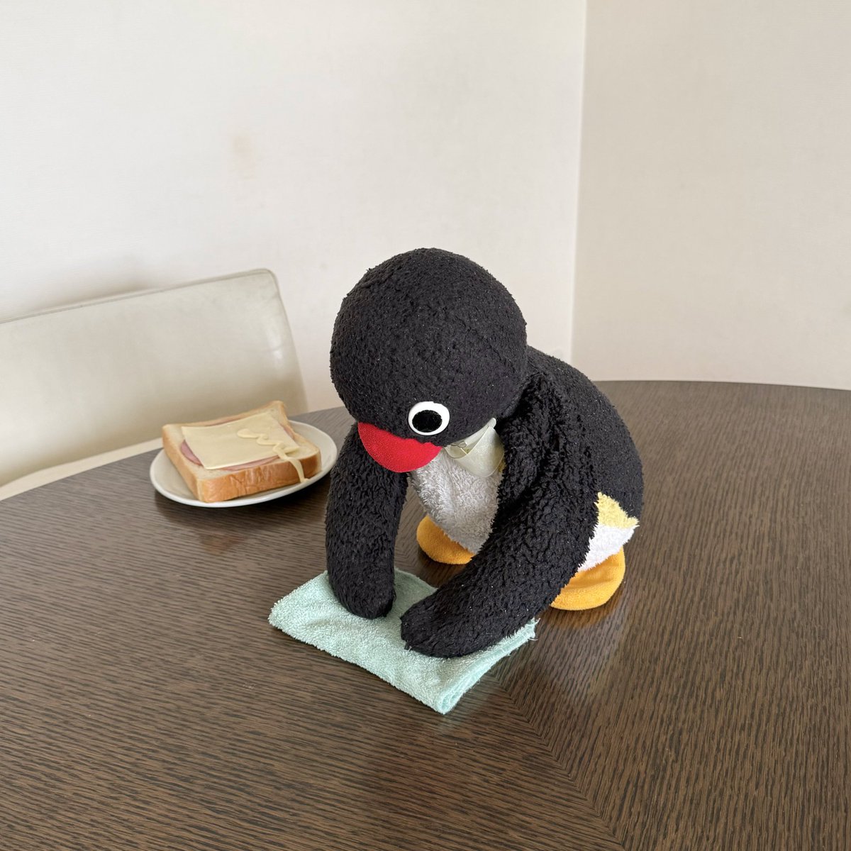 pingmyping tweet media