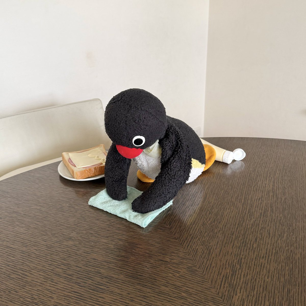 pingmyping tweet media