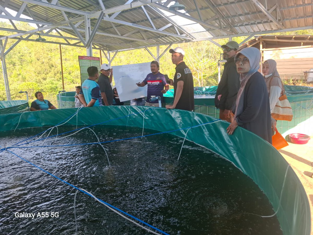 AinyBaadilla's tweet photo. Januari 2026, Penyuluh Perikanan Kota Ambon Bidang Budidaya memfasilitasi Akses Informasi KP terkait Program Prioritas KKP tentang Pengembangan Budidaya Berkelanjutan kepada kelompok Pelaku Usaha KP Pokdakan Bersama Sejahtera https://t.co/ZzyoavAUYE