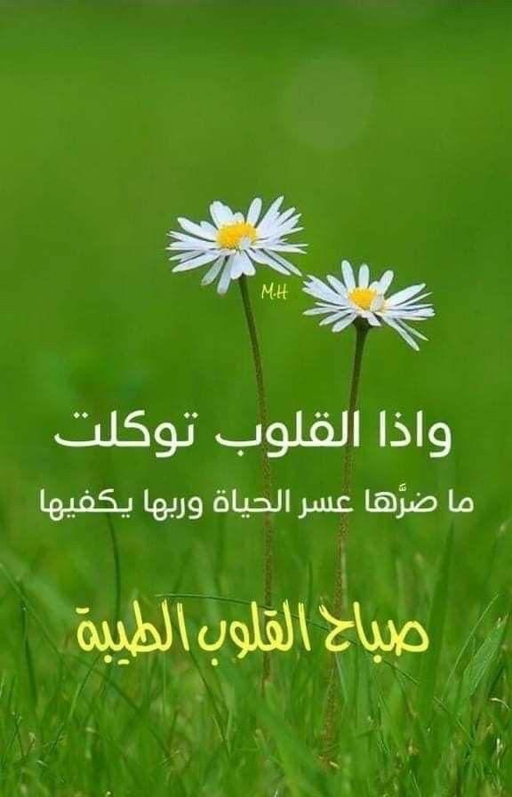 سعدفهد الدخيل tweet media