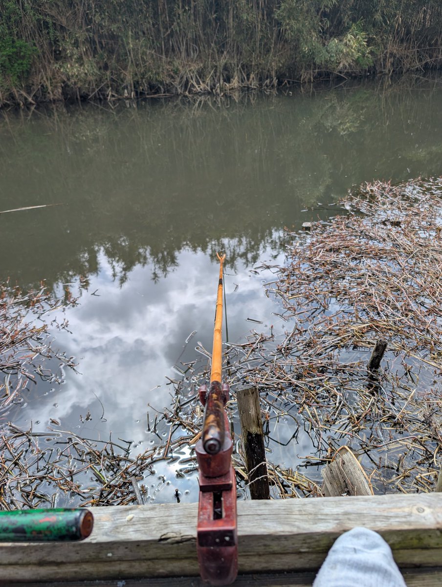 へら鮒釣具冨田 tweet media