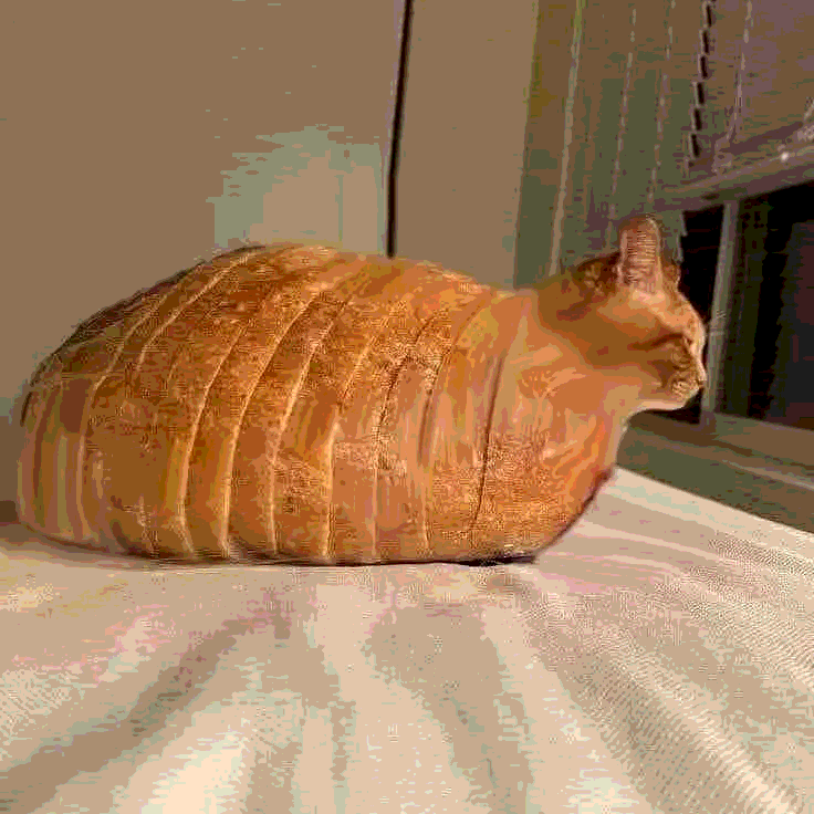 NightFal|🔞 tweet media