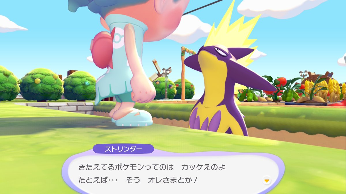 ねこすけ tweet media