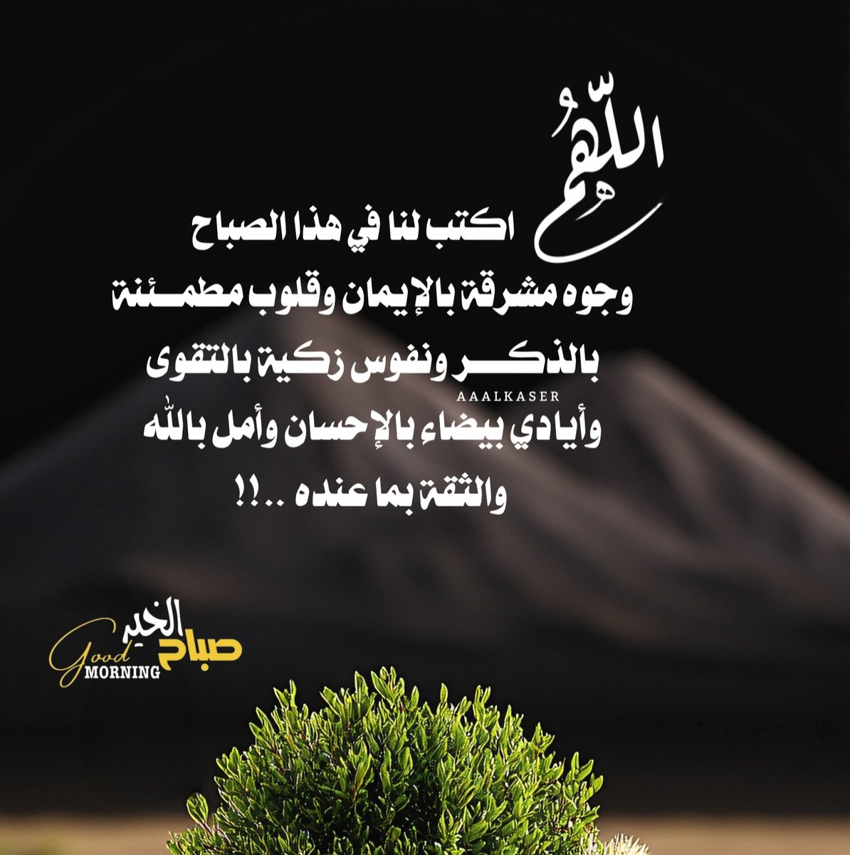 𝒂𝒂𝒂𝒍𝒌𝒂𝒔𝒆𝒓 tweet media