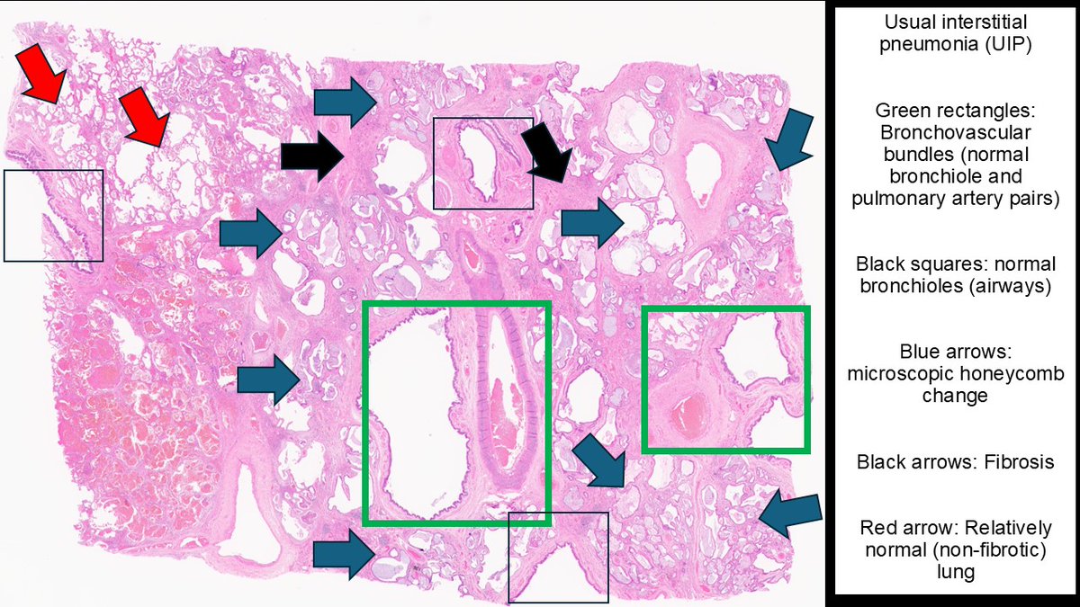 Sanjay Mukhopadhyay tweet media