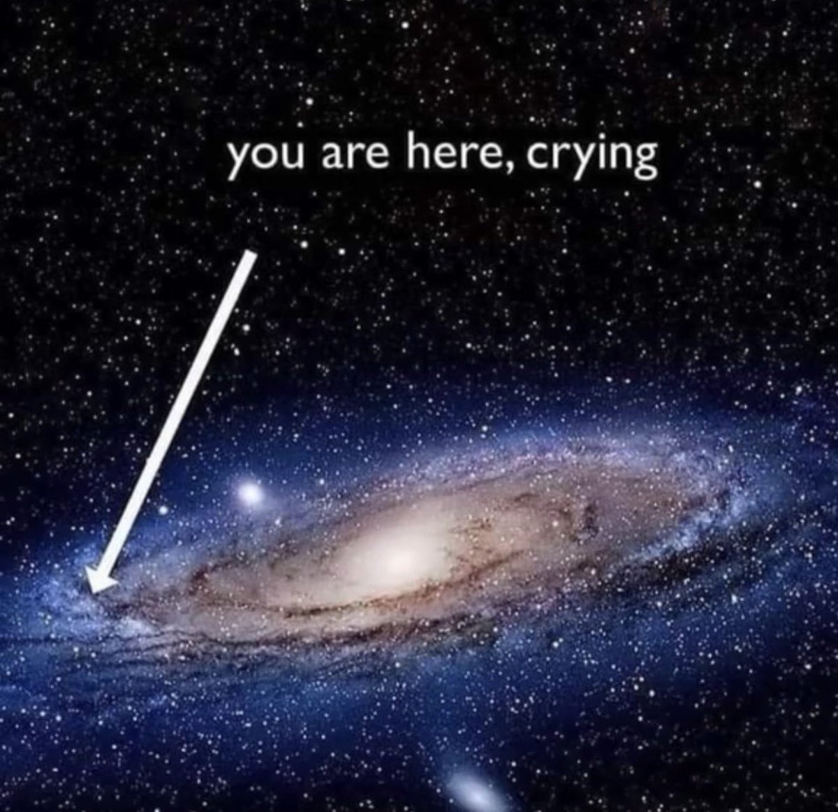 Y so serious tweet media