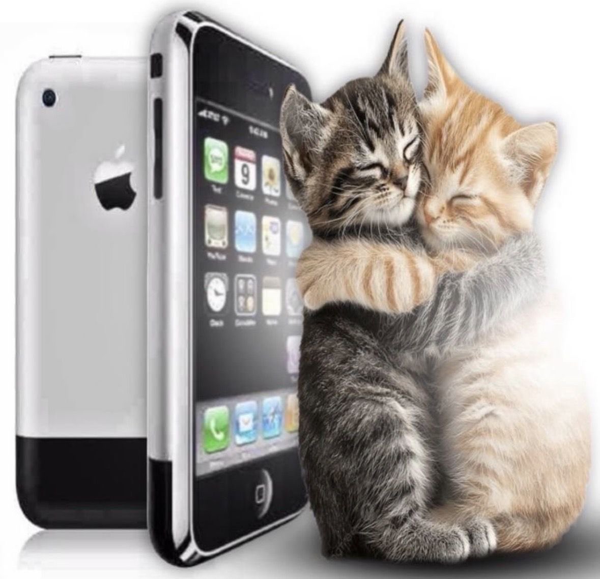 eli | ENHYPEN IS 7 tweet media