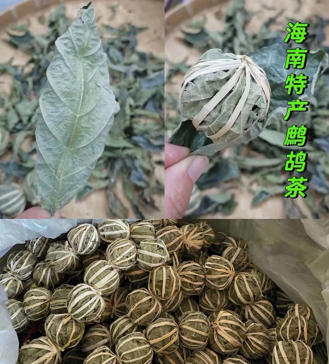 Explore Hainan tweet media