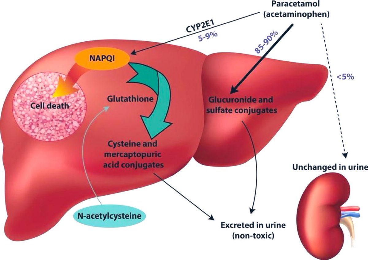 ُTHE GOAT tweet media