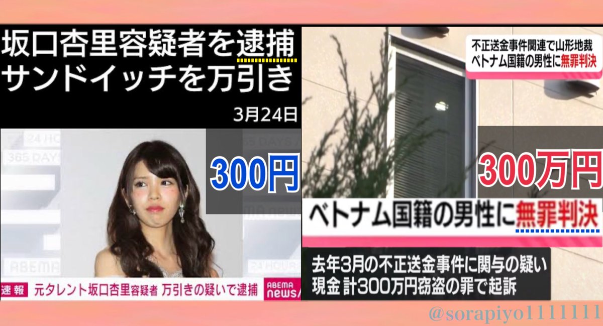 そらぴよ tweet media