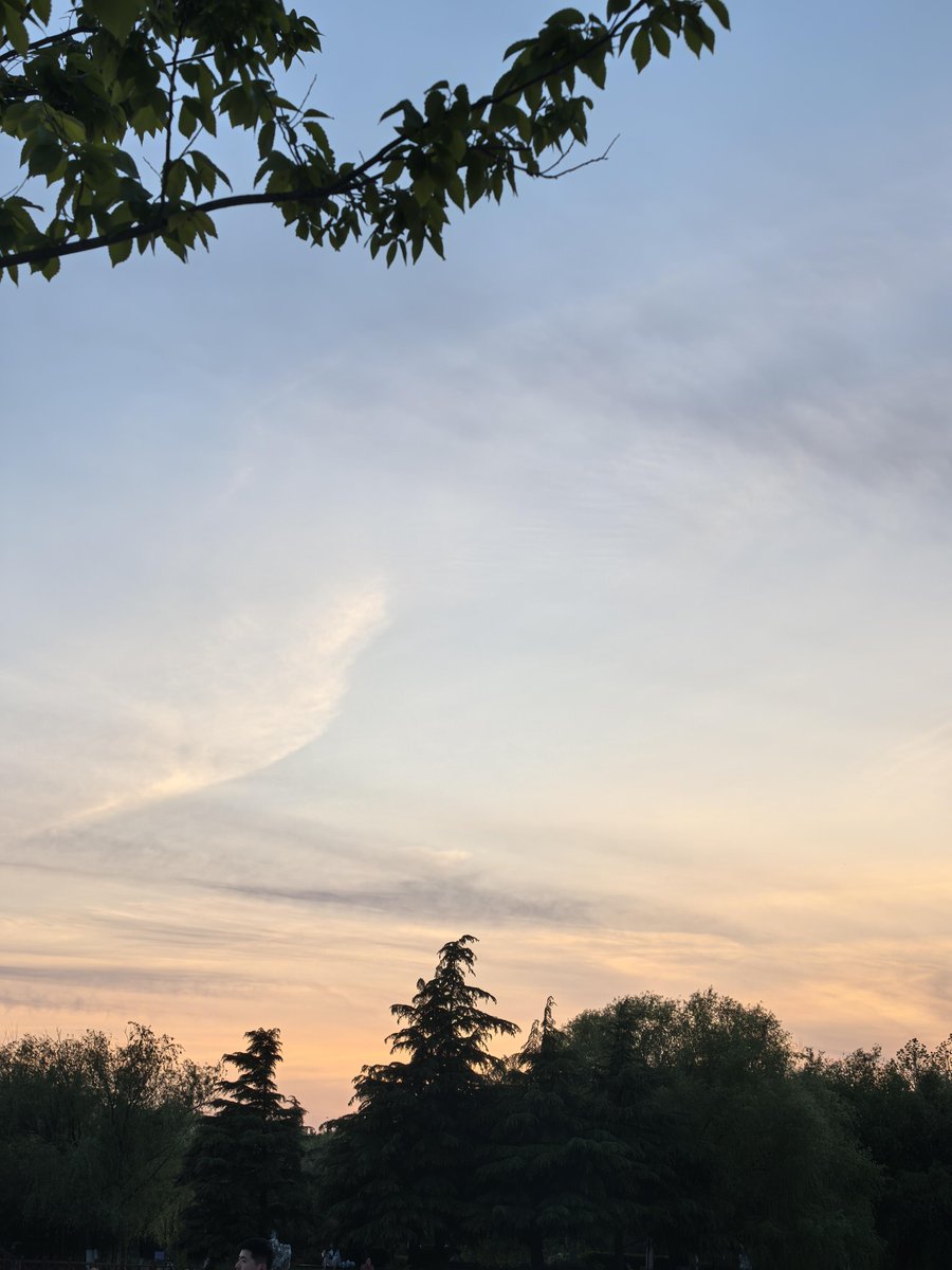 Melissa Catozella tweet media