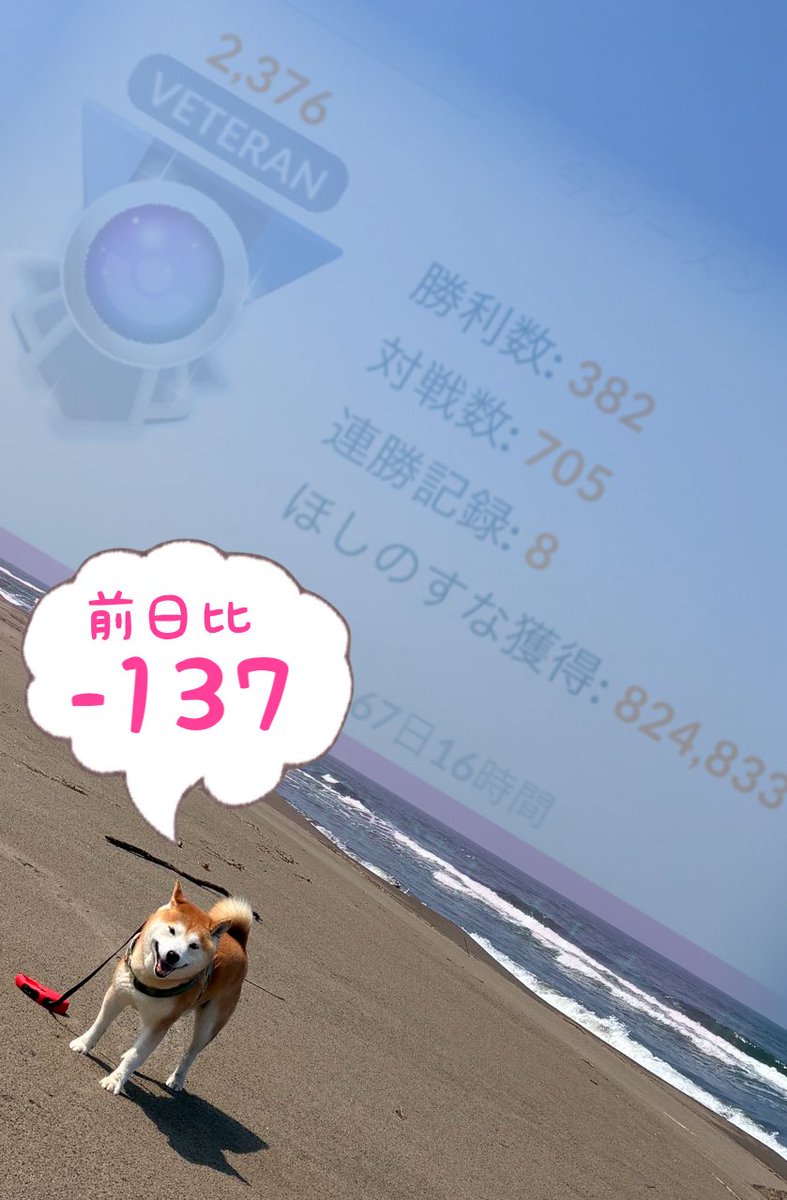 Umineko543 tweet media