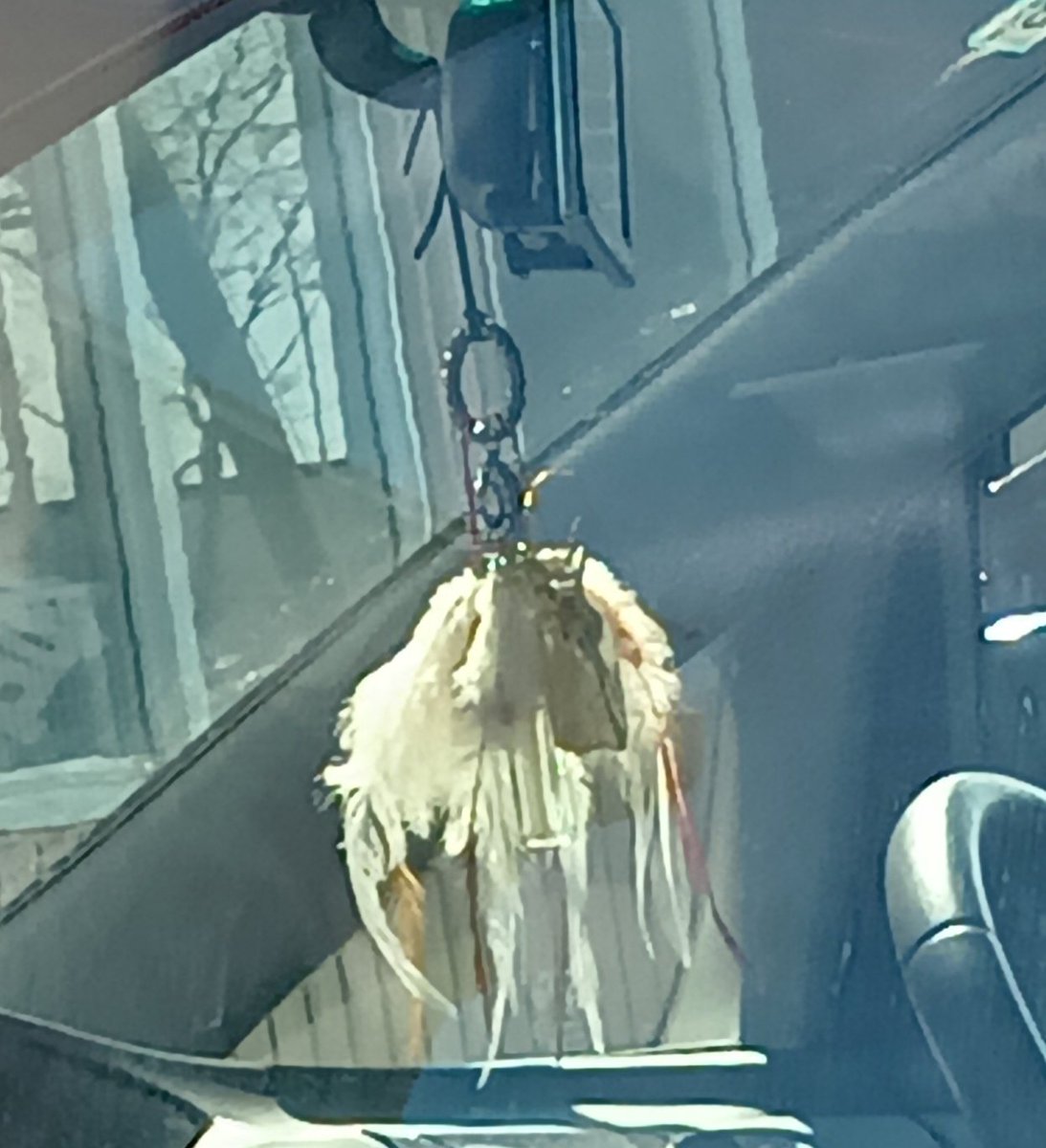 ベルーガ tweet media