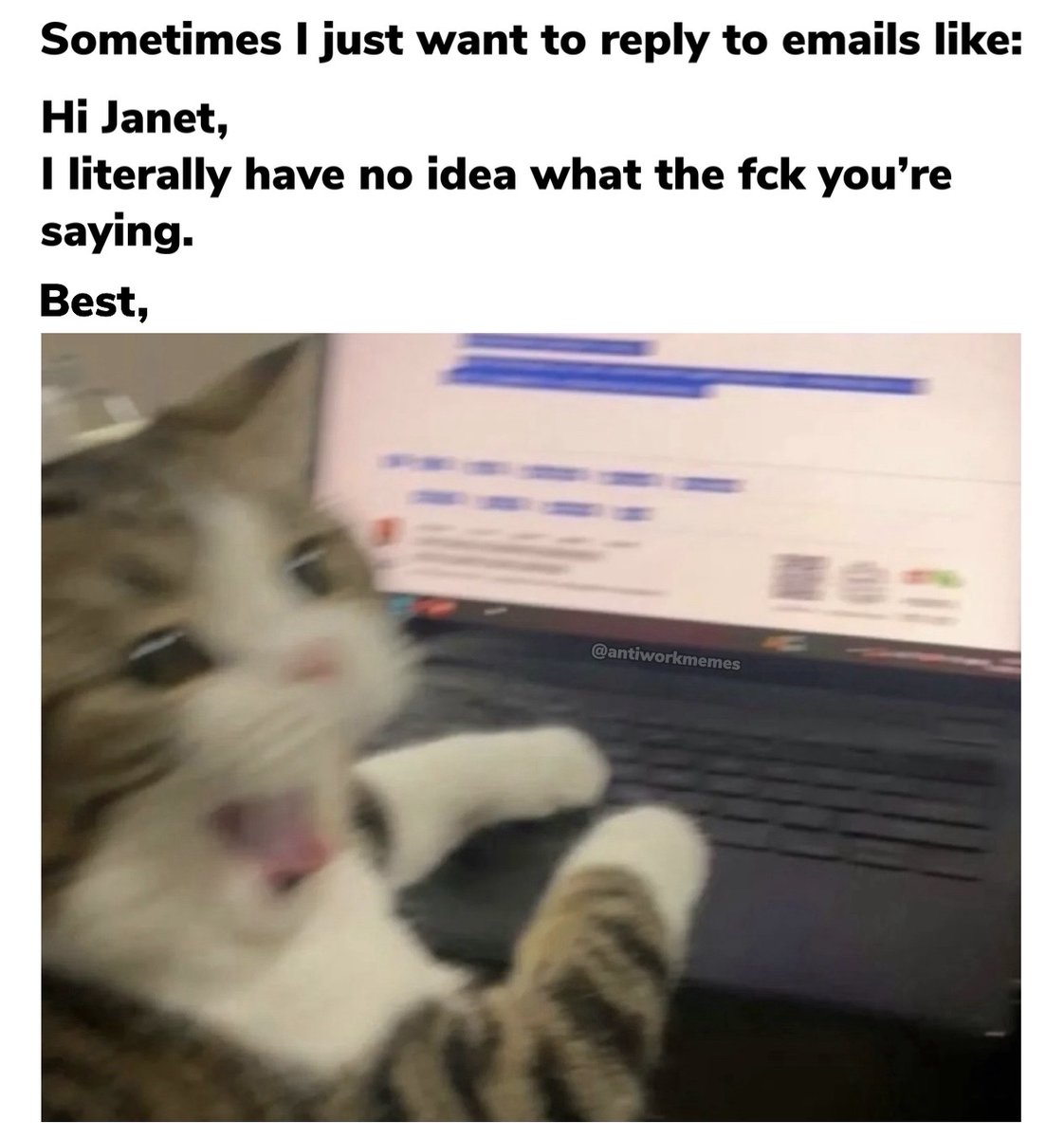 Work Memes tweet media