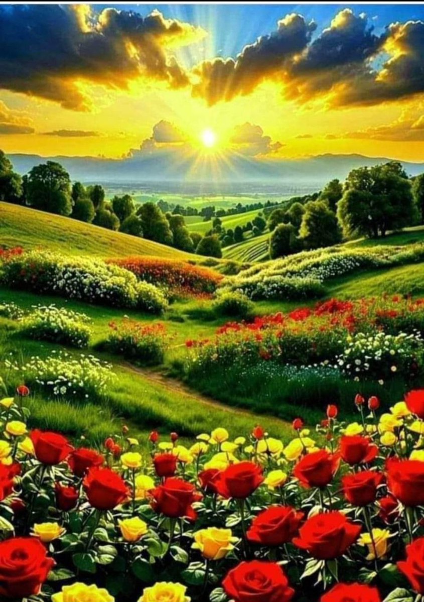 Nihat KAYA tweet media