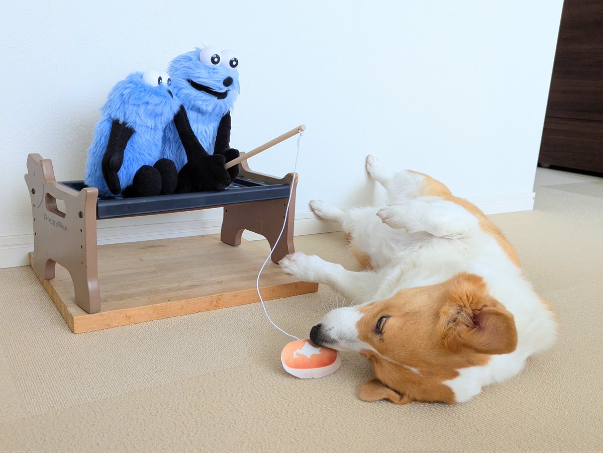 こまち@彩 tweet media