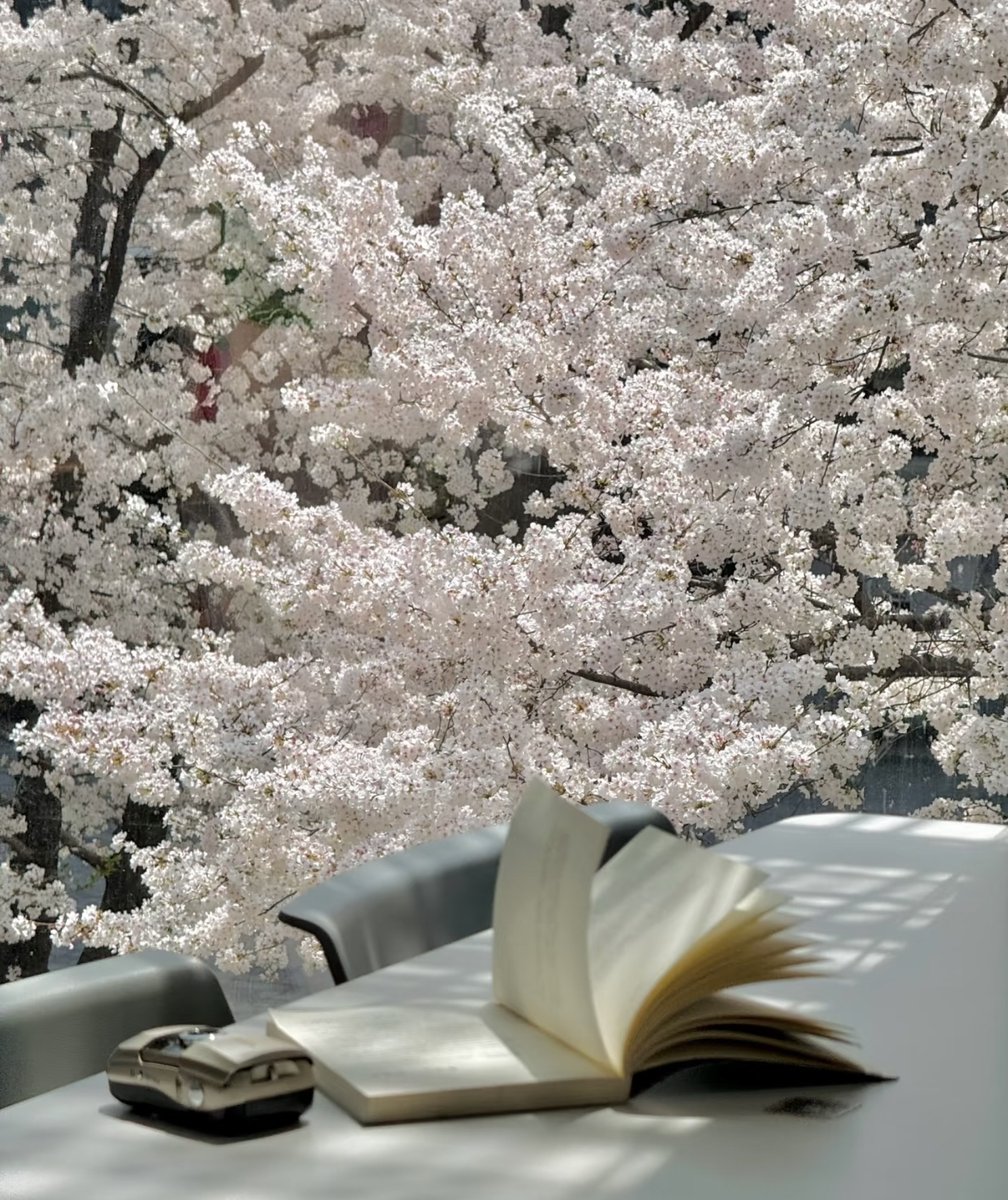 megan schmitz tweet media