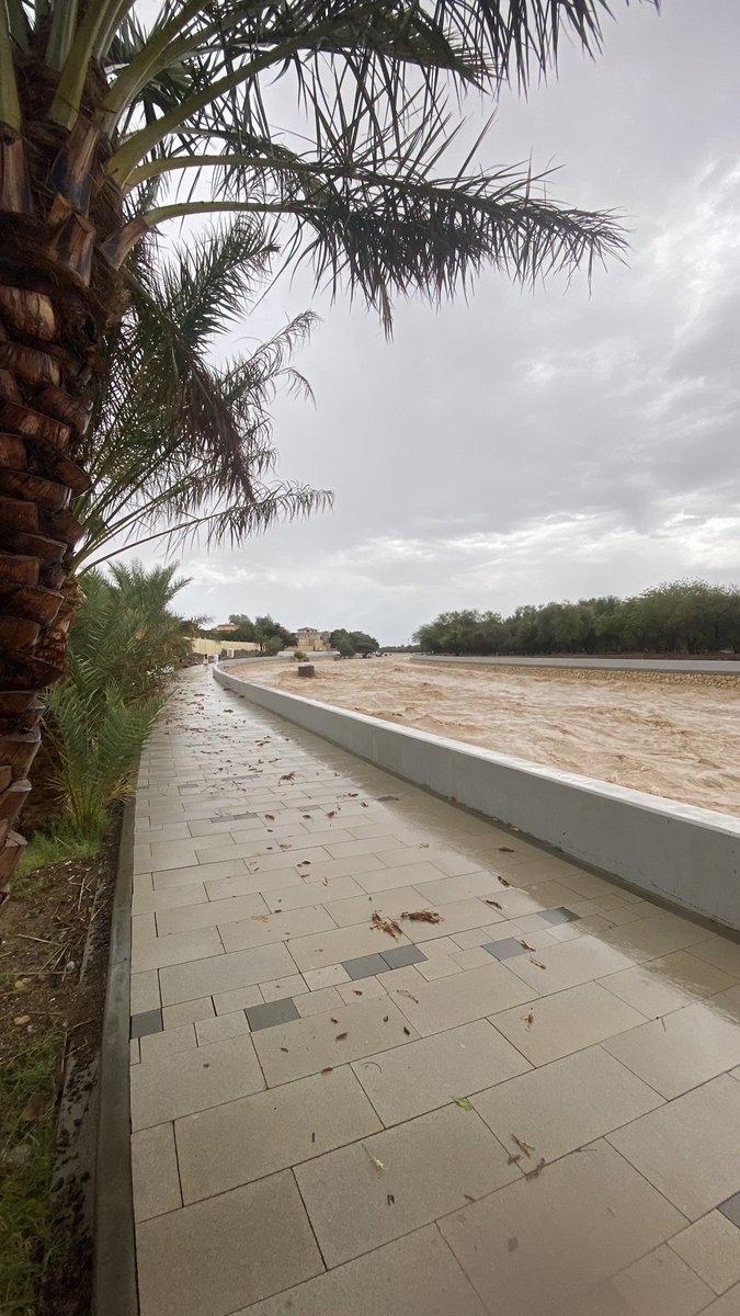 محمّد tweet media