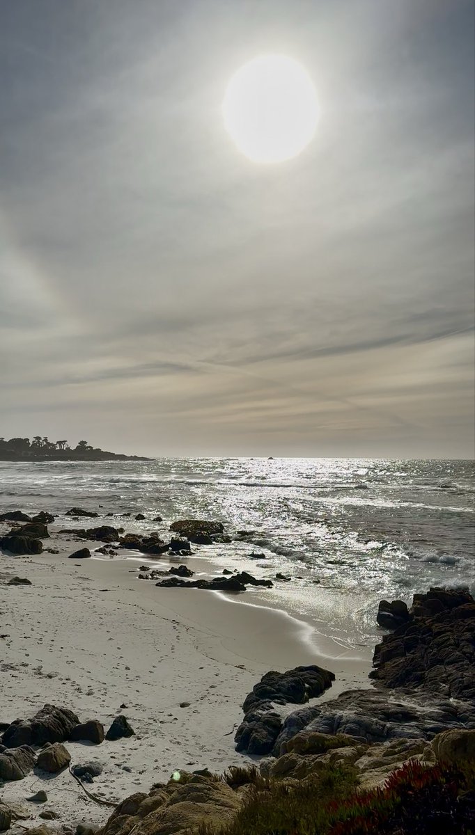 Savitri Mumukshu - सावित्री मुमुक्षु tweet media