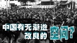 中華民國公民聯盟 tweet media