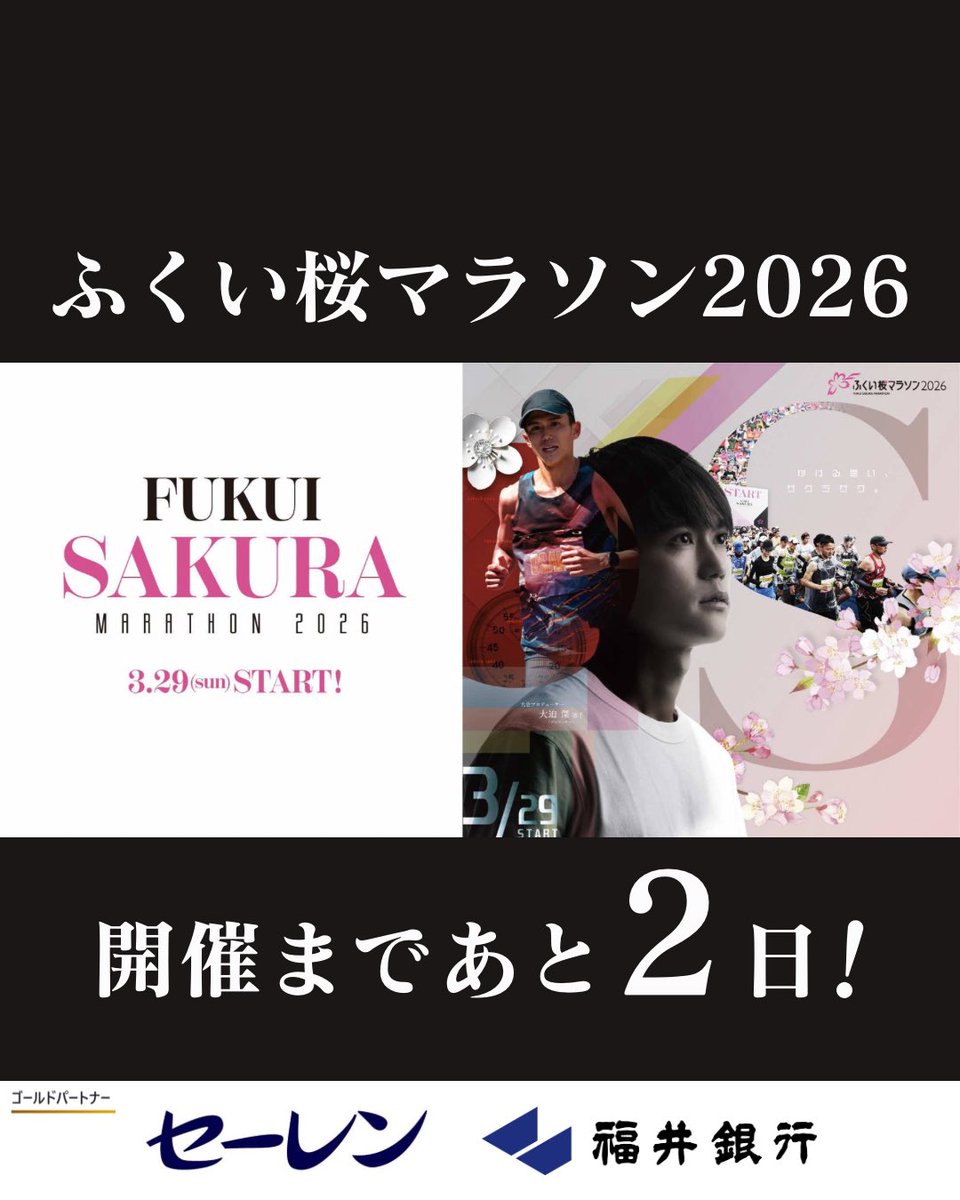 ふくい桜マラソン【公式】🌸🦕🏯🚄 tweet media